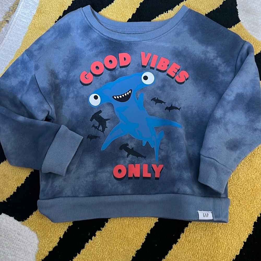 GAP Sweatshirt 2T
